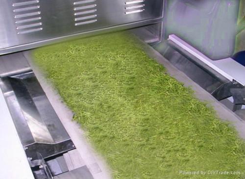 全自動金銀花殺青烘干生產線在梅子貢正式投產